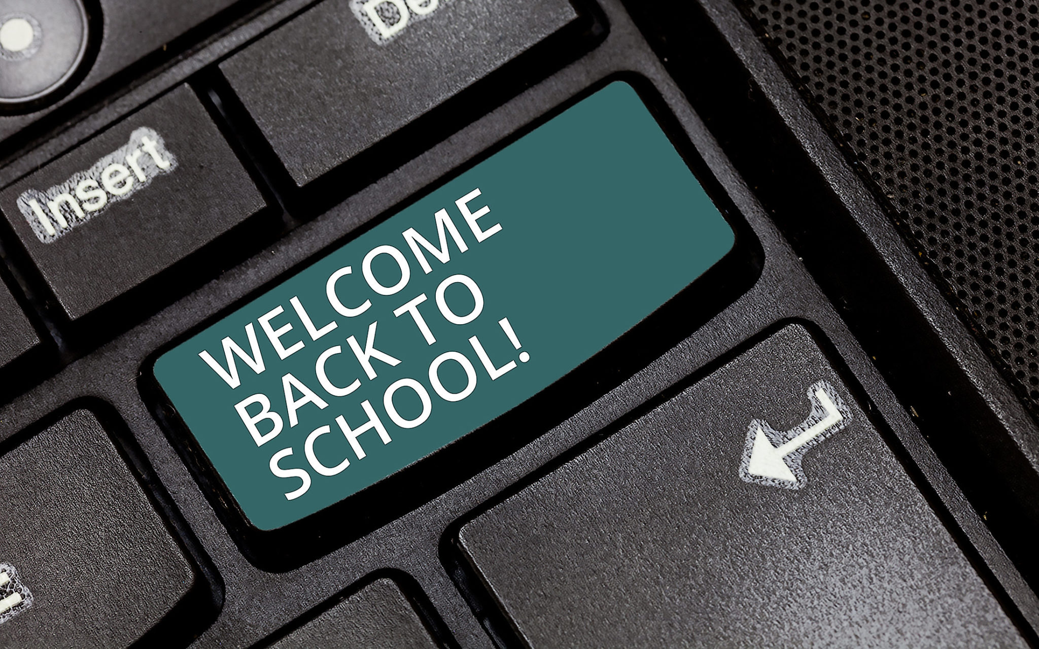 Кнопка решения проблем. Кнопка да или нет. Email. Онлайн голосование фото. Фон для программиста.